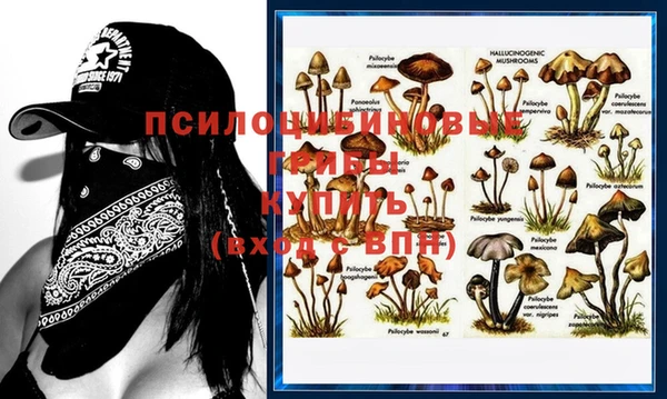 ECSTASY Алзамай