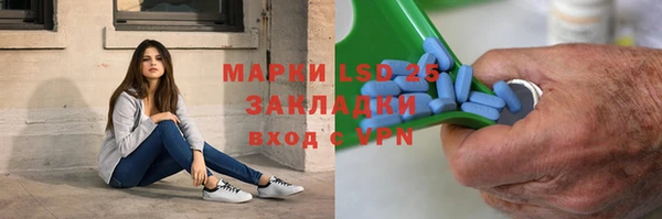 ECSTASY Алзамай