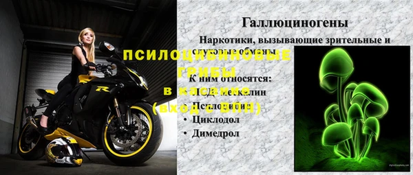 ECSTASY Алзамай