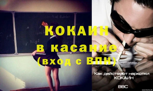 ECSTASY Алзамай