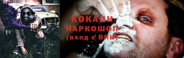 ECSTASY Алзамай