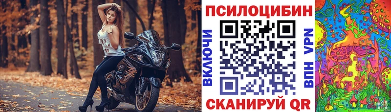 Галлюциногенные грибы Cubensis  Беслан 
