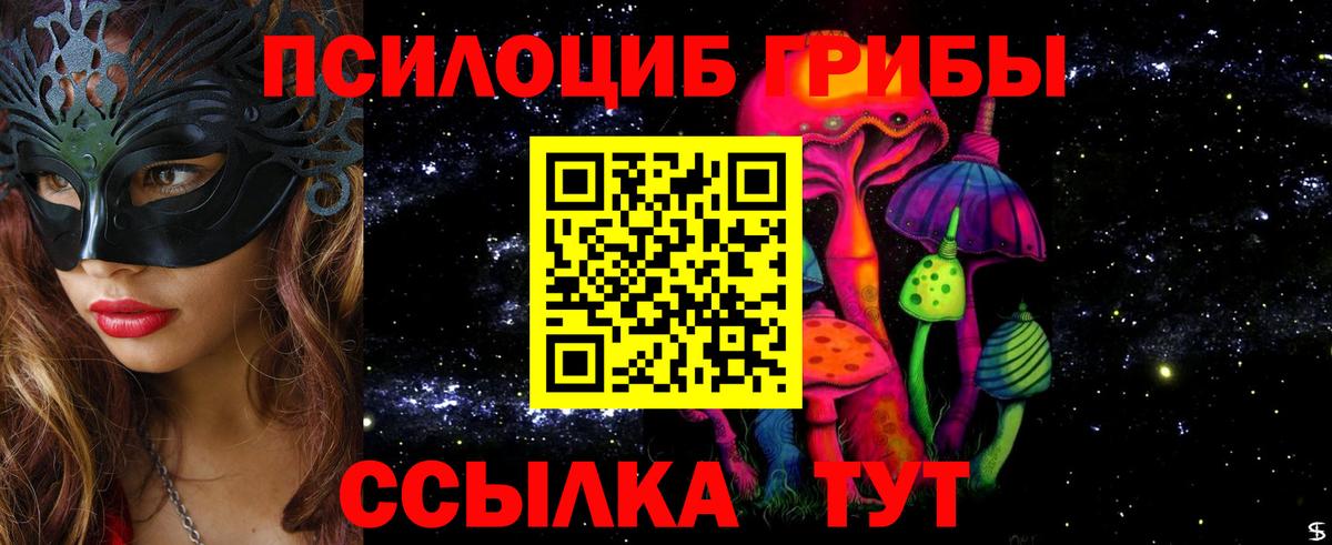 Беслан  Псилоцибиновые грибы Psilocybine cubensis  Вход с VPN 